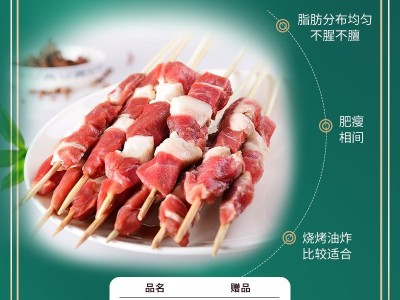 羊肉新鲜 宁夏滩羊 羊肉串 烧烤食材 生鲜肉宁夏羊肉串批发 500克图2