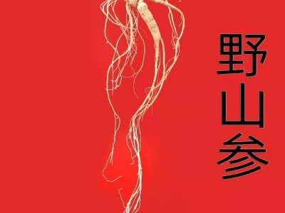 林下参30年野山参25年人参长白山野生老山参整支礼盒装泡酒煲汤图2