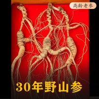 林下参30年野山参25年人参长白山野生老山参整支礼盒装泡酒煲汤