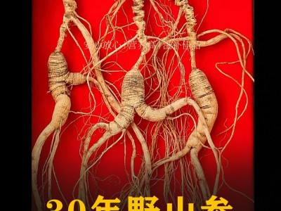 林下参30年野山参25年人参长白山野生老山参整支礼盒装泡酒煲汤图5