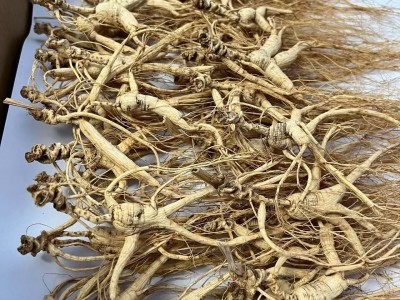 长白山林下山参 籽参 15-20年籽货 原皮原须 林下籽货 干人参图2