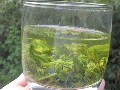 2023新茶汉中炒青陕青茶叶散装西乡炒青绿茶500g厂家味浓耐泡D款图4