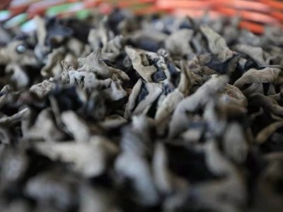 现货黑木耳干货散装 黑山秋木耳肉厚无根小耳农产品图2