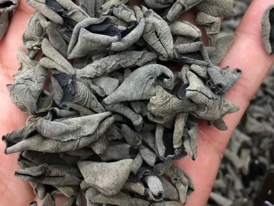 老鼠耳 东北黑木耳干货小碗耳秋木耳干木耳肉厚一德路批发图2