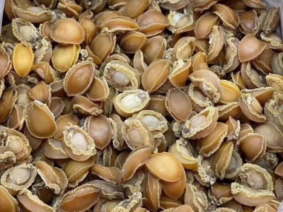 大连鲍鱼干 水产海鲜干货煲汤煲粥滋补品佛跳墙食材足干规格全图3
