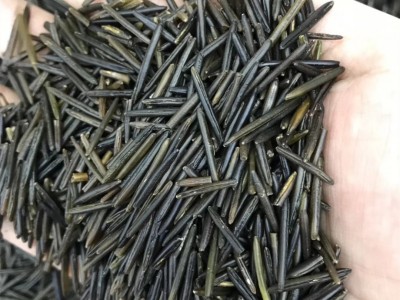野米 1号2号3号多规格酒店食材菰米黑米松针米一件代发一德路批发图3