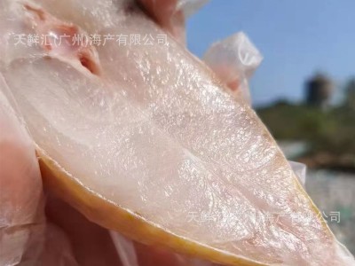 海鲜干货 马友鱼块 鱼片 鱼段 淡干海鱼 鱼类图4