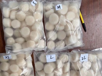 帆立贝柱带子新鲜冷冻扇贝肉瑶柱海鲜水产日式寿司刺身料理商用图4