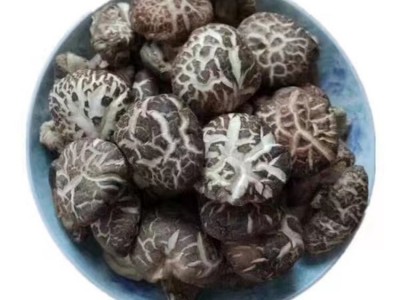 珠宝山村 香菇自产自销原产地发货图5