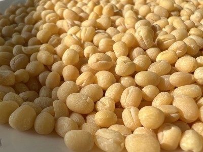 出售脱皮绿豆仁米规格2.6mm-3.6mm精心挑选颗粒饱满色泽淡黄物理图2