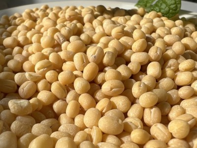 出售脱皮绿豆仁米规格2.6mm-3.6mm精心挑选颗粒饱满色泽淡黄物理图5