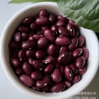 出售金石豆芸豆2022年产大颗粒金石豆产地新疆颗粒饱满色选成品质