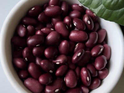 出售金石豆芸豆2022年产大颗粒金石豆产地新疆颗粒饱满色选成品质图5
