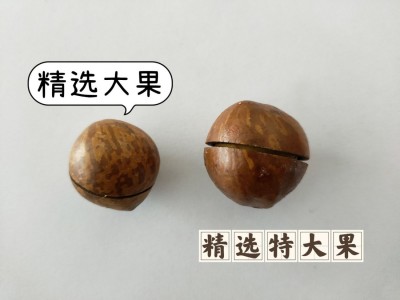 奶香味250克装 夏威夷坚果 特大果图4