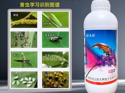 10%啶虫脒啶虫咪 蔬菜果树茶叶蚜虫飞虱蓟马跳甲绿叶蝉杀虫剂农药图2