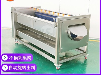 商用苹果清洗机 现货多功能青芒清洗设备 全自动香梨清洗机图2