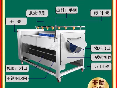 商用苹果清洗机 现货多功能青芒清洗设备 全自动香梨清洗机图3