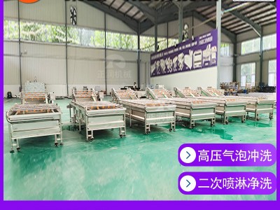 现货全自动蔬菜清洗机 果蔬清洗风干流水线 商用气泡洗菜机图3