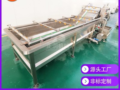 现货全自动蔬菜清洗机 果蔬清洗风干流水线 商用气泡洗菜机图2