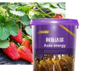 氨基酸液体桶肥 果树冲施肥氨基酸叶面肥含多种微量元素 工厂直供图1