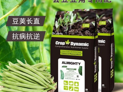 含腐植酸水溶肥 代工芸豆豆角专用水溶肥 拉长拉直豆荚增产抗病肥图3