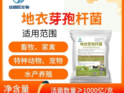 业盛旺1000亿地衣芽孢杆菌饲料水产养殖添加剂改善肠胃吸收拉稀图2
