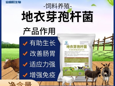 业盛旺1000亿地衣芽孢杆菌饲料水产养殖添加剂改善肠胃吸收拉稀图4