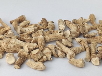 大鹏菇业大量供应 优质散装干货食用菌香菇酱厂专用双剪香菇脚图4