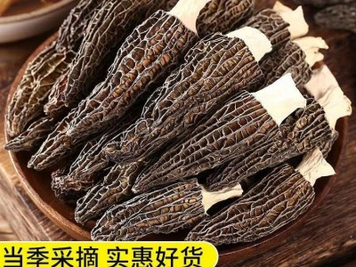 霸源 特产羊肚菌 非野生剪柄煲汤新鲜营养肉厚五沙菌菇类图2