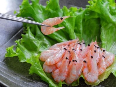 水族馆海洋动物饵料（南极鳞虾）图1
