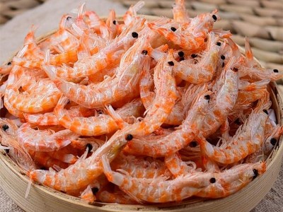 水族馆海洋动物饵料（南极鳞虾）图3