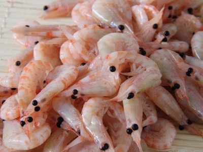 水族馆海洋动物饵料（南极鳞虾）图4