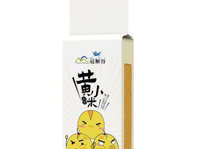 黄小米500g农家种植色泽金黄小米五谷杂粮粥粗粮批发一件代发图4