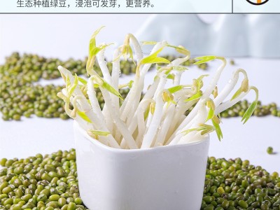绿豆真空装新鲜农家绿豆粮油颗粒饱满肉多皮薄五谷杂粮批发500g图3