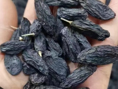 大颗粒新疆黑美人葡萄干零食小吃休闲食品干果无核葡萄干散货图3