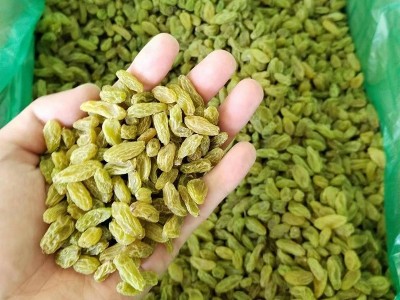 供应新疆商用原料葡萄干袋装 果粒饱满色泽亮丽葡萄干原材料图2