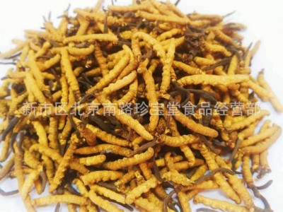 批发贵州虫草 亚香棒虫草 冬虫夏草 虫草 2-3条每克图4