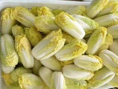 直供娃娃菜新鲜蔬菜农家现摘现发小颗白菜嫩滑爽口 10吨起批图5