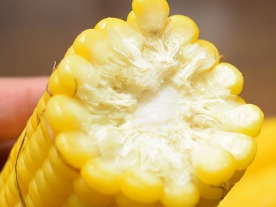 现摘鲜玉米 新鲜爆浆可生吃当季脆嫩非转基因蔬菜图4