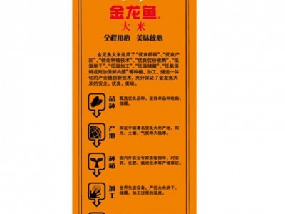 批发金龙鱼大米5kg 软香稻大米 苏北米10斤 家庭装图4