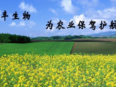海洋放线菌抑红弧菌黄弧菌绿弧菌替抗图3