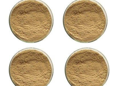 厂家供应水产菌养殖营养性添加剂枯草芽孢杆菌芽孢发酵菌量大从优图4