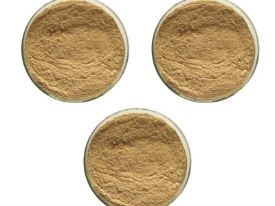 厂家供应水产菌养殖营养性添加剂枯草芽孢杆菌芽孢发酵菌量大从优图3