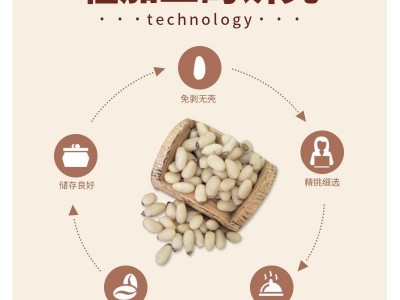 新货原味松子仁500g厂家货源华山松仁云南松仁东北红松仁马尾松仁图4