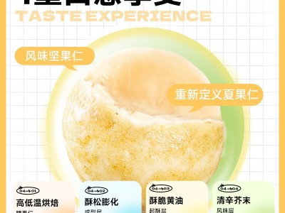 山姆同款芥末味夏威夷果仁 风味坚果芥末味爆款零食坚果代发批发图2