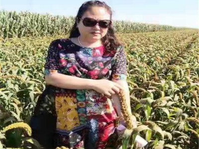 吉林种子批发 吉林杂粮种子批发厂家 长春种子批发厂家图3