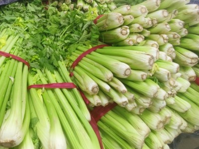 新鲜芹菜 基地种植 现摘现发 口感好 斯刻达供应图4