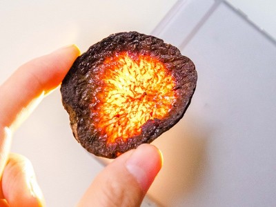 疆芸玉苁蓉丝125g新疆肉苁蓉新鲜干制正品中药材高含量管花肉苁蓉图4