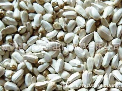 新疆特级红花籽 红花子白瓜籽白瓜 出油率29% 亚油酸79%图4