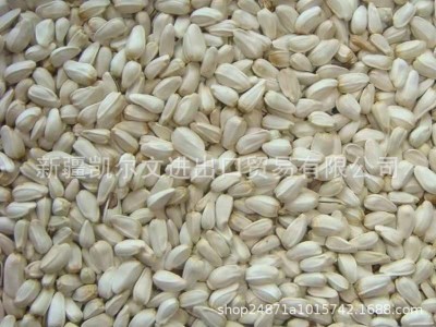 新疆特级红花籽 红花子白瓜籽白瓜 出油率29% 亚油酸79%图5